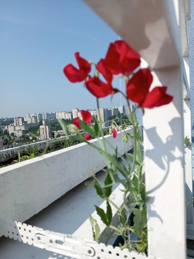 Apartment Небольшой Пентхаус С Прекрасным Видом На Город