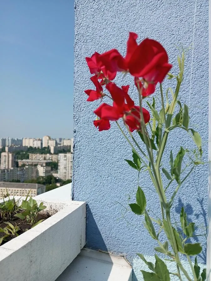 Небольшой Пентхаус С Прекрасным Видом На Город 0*, Kyiv